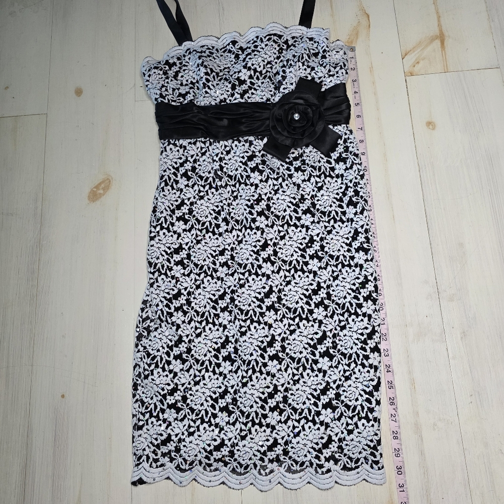 49) R&M RICHARDS Lace Dress Sz. 8 - Picture 10 of 10